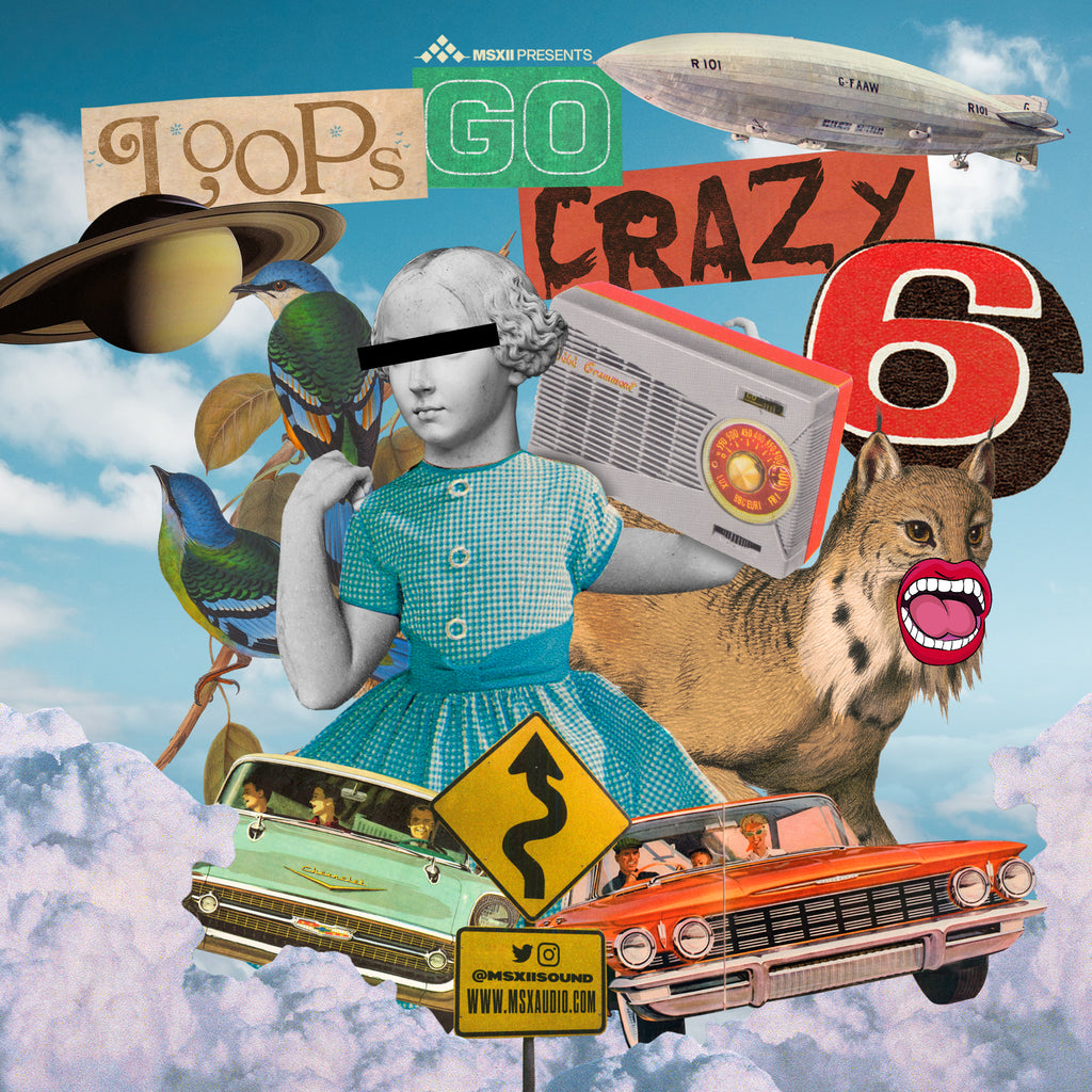 Loops Go Crazy Vol. 6