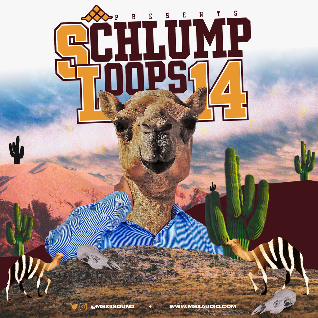 Schlump Loops 14