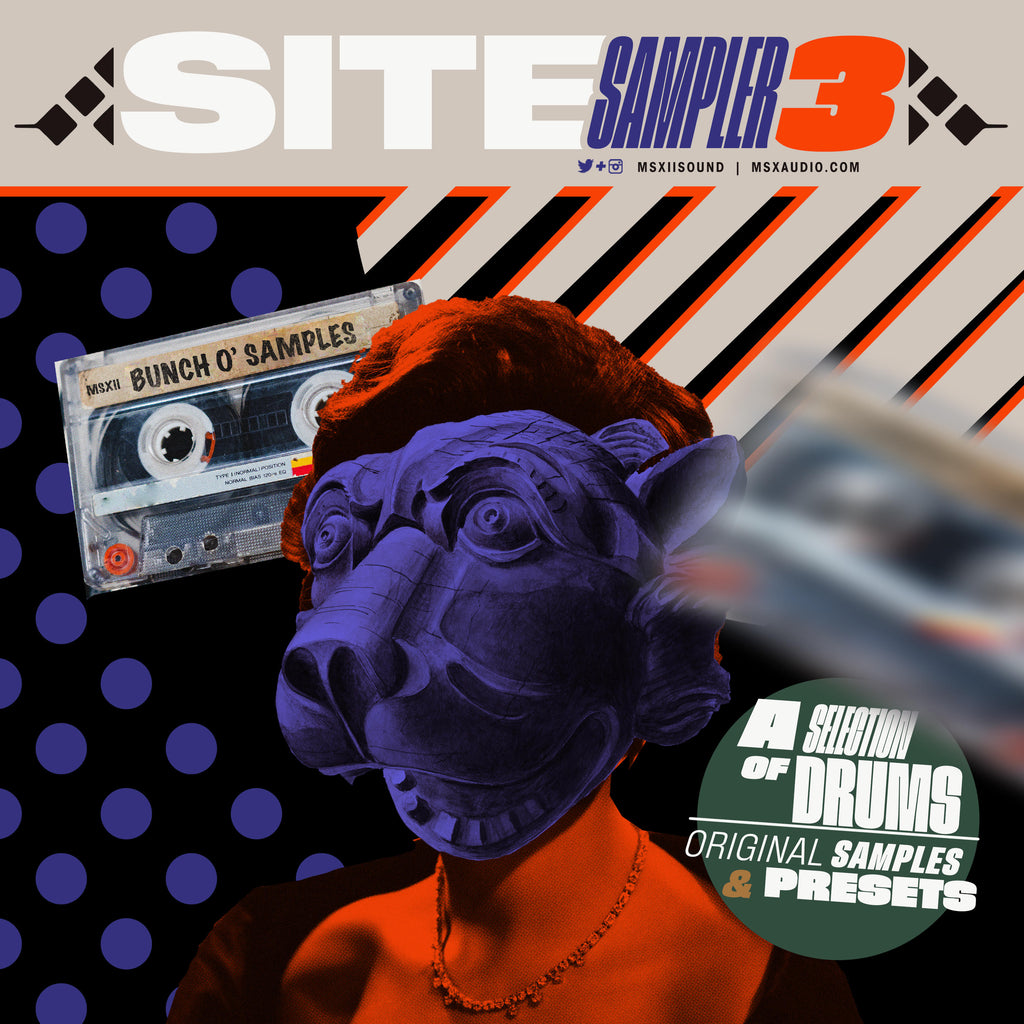 The MSXII Site Sampler 3