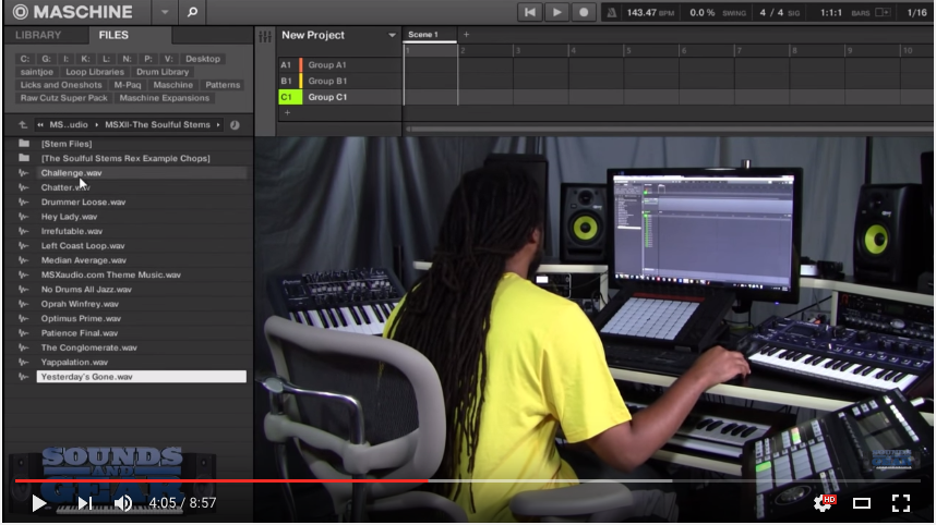 SoundsAndGear.com Reviews The MSXII Soulful Stems