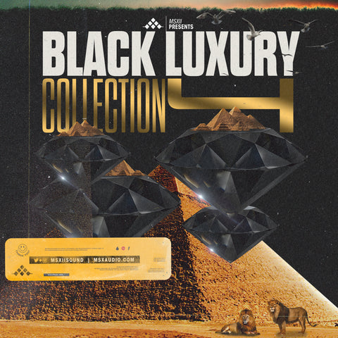 The Synthesized Soul Library 2