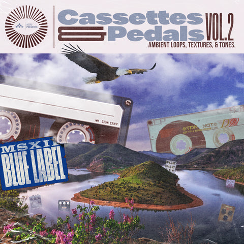 The Synthesized Soul Library 2