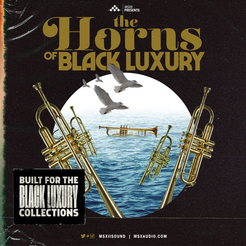 Black Luxury Collection III
