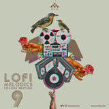 Lofi Melodics 9
