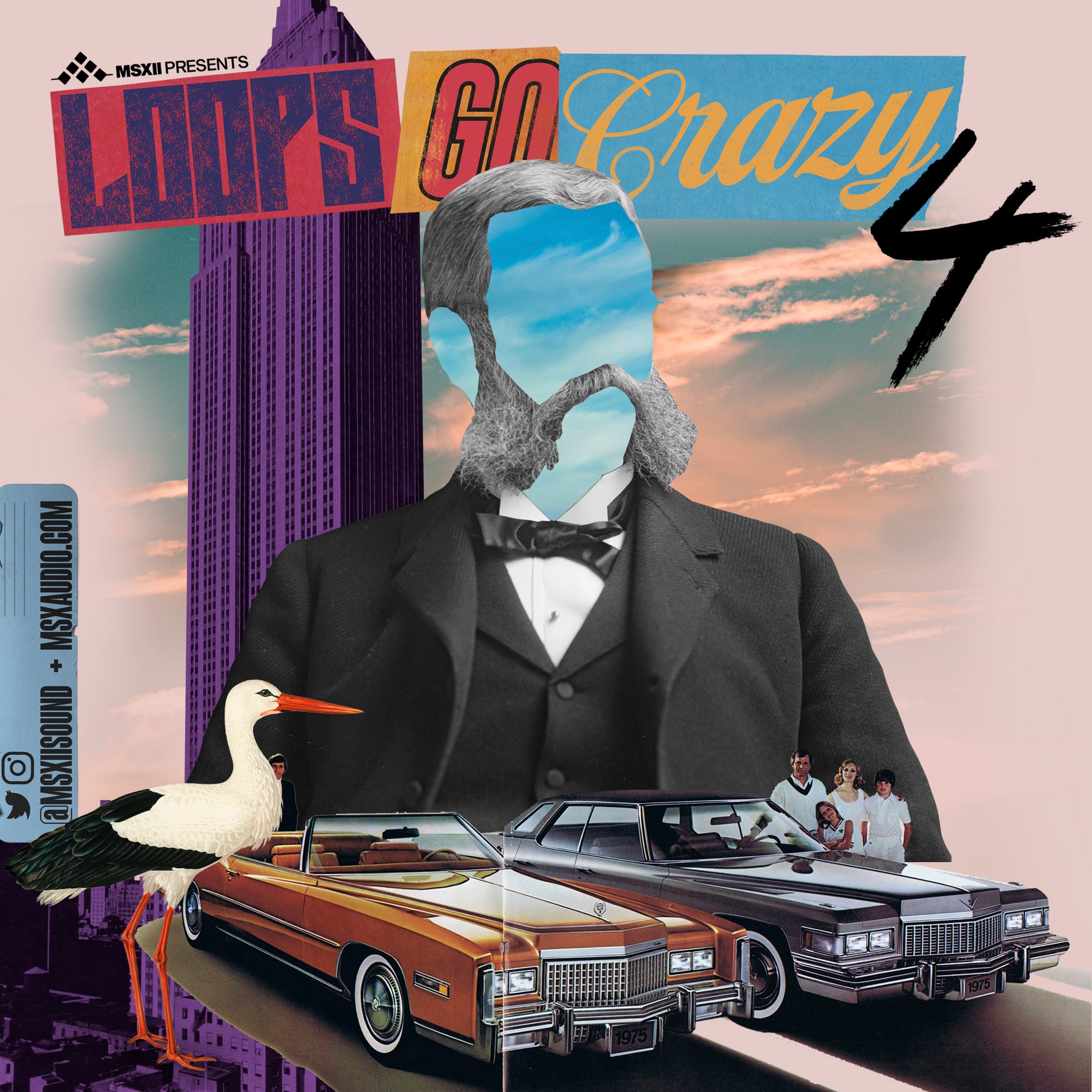 Loops Go Crazy Vol. 4 Loops Go Crazy Vol. 4