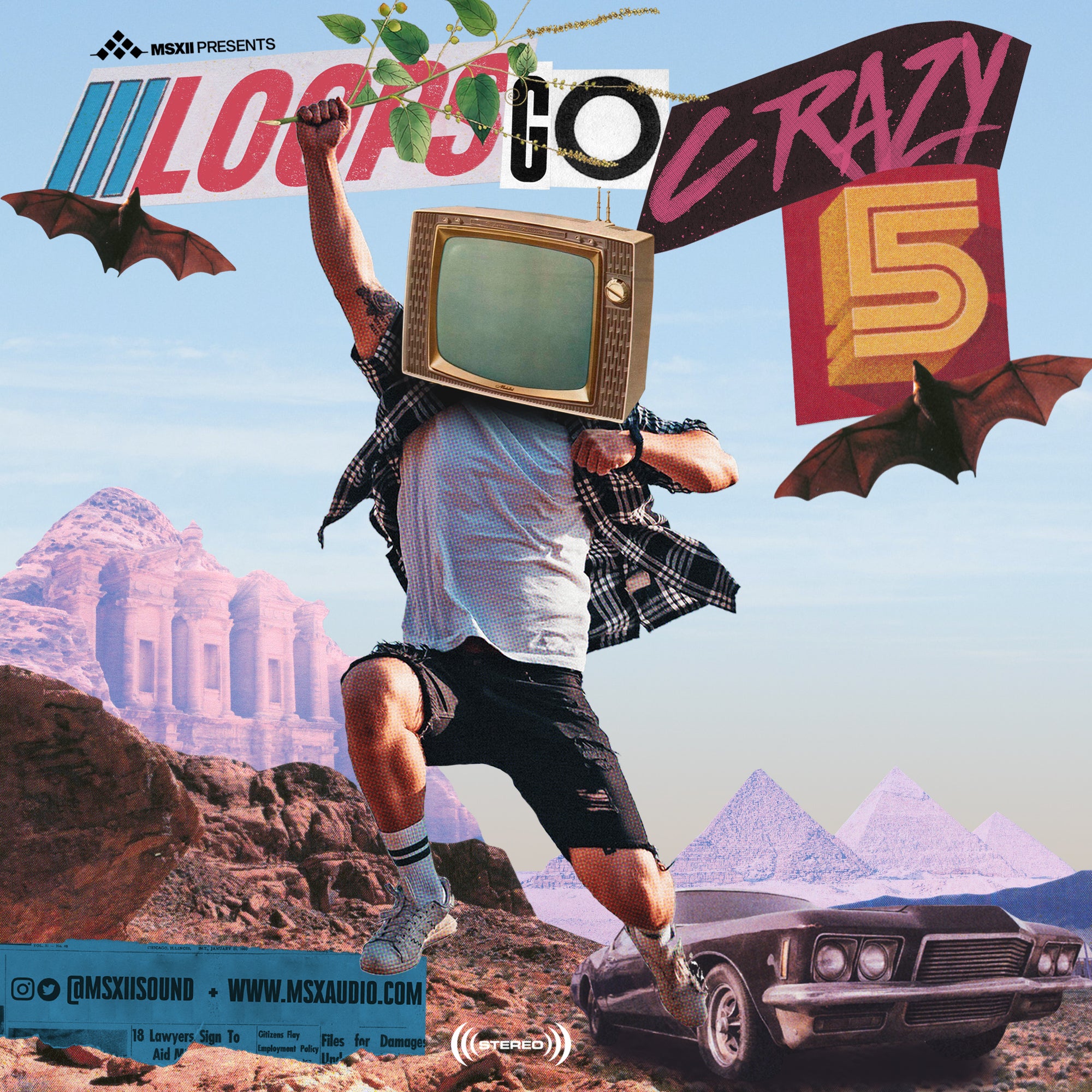 Loops Go Crazy Vol. 5 Loops Go Crazy Vol. 5
