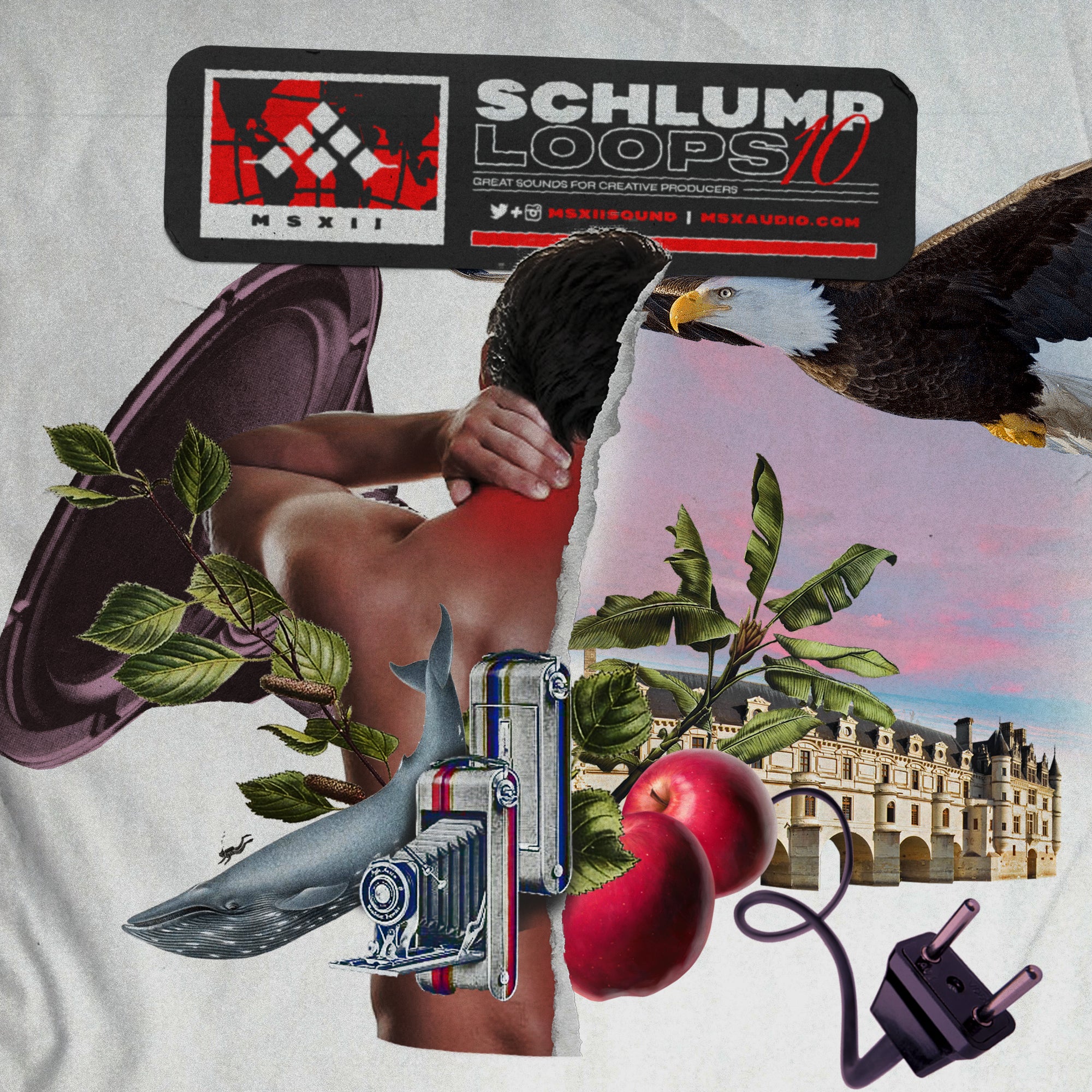 Shlumpy Music Schlump Loops Bundle
