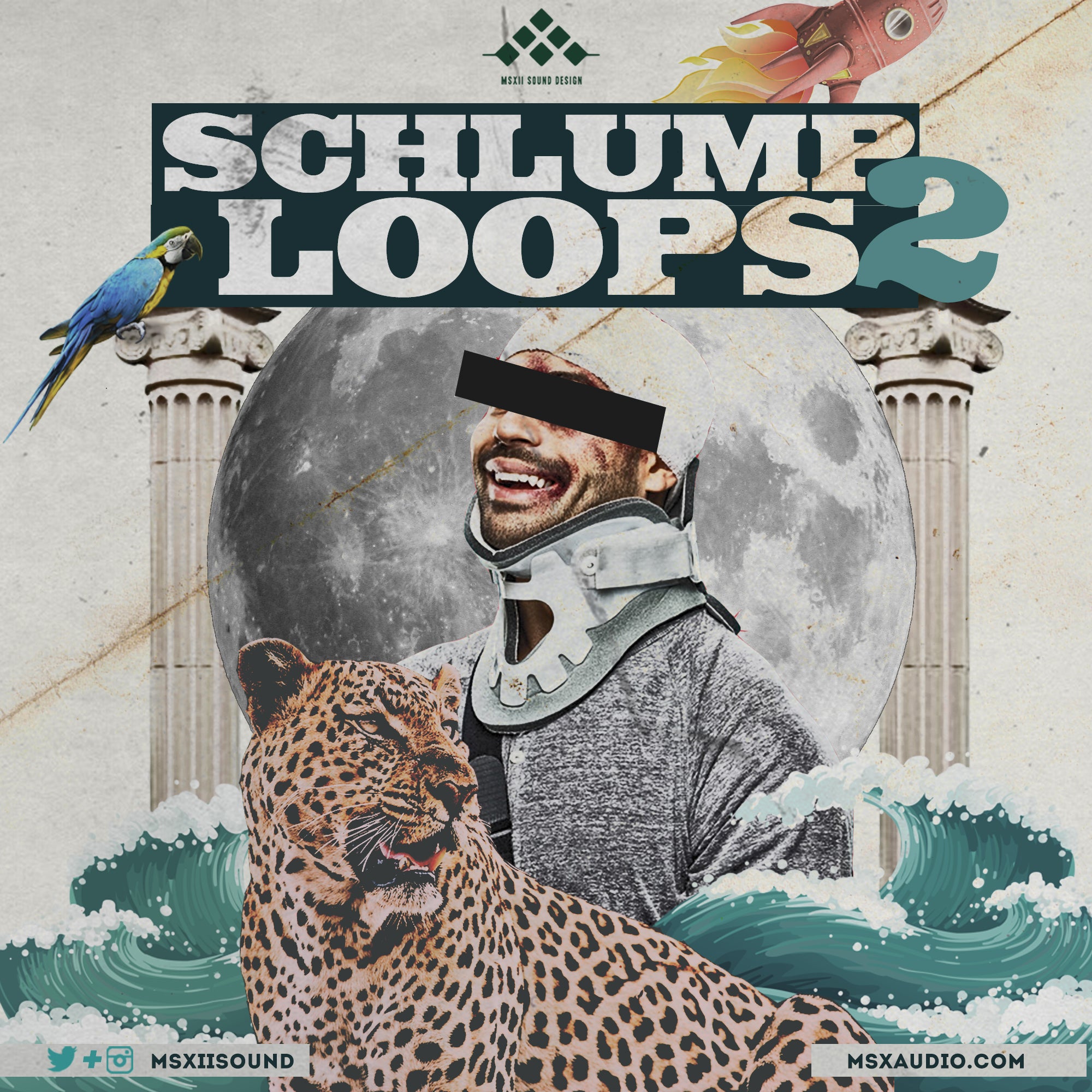 Shlumpy Music Schlump Loops Bundle
