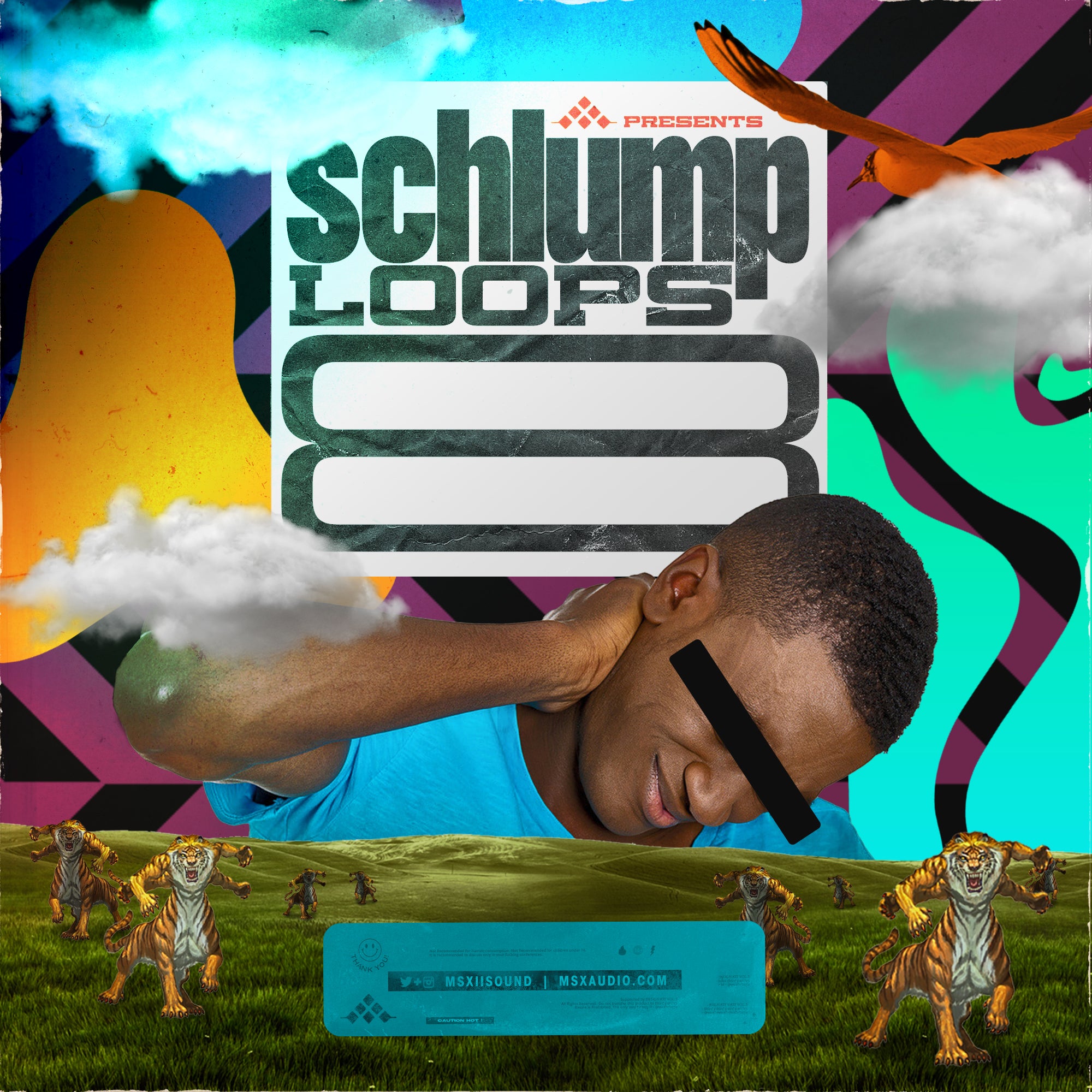Shlumpy Music Schlump Loops Bundle