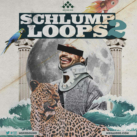 Schlump Loops Percussion Vol. 1