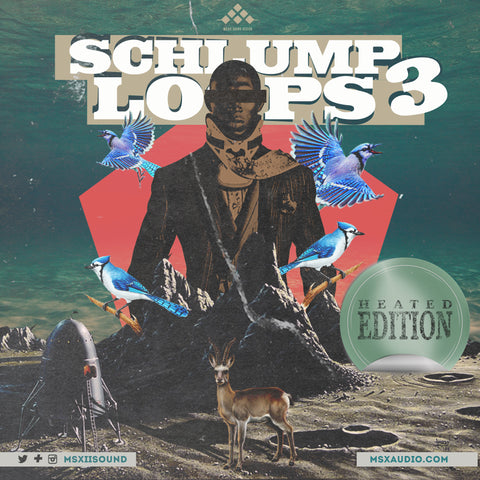Schlump Loops Percussion Vol. 1