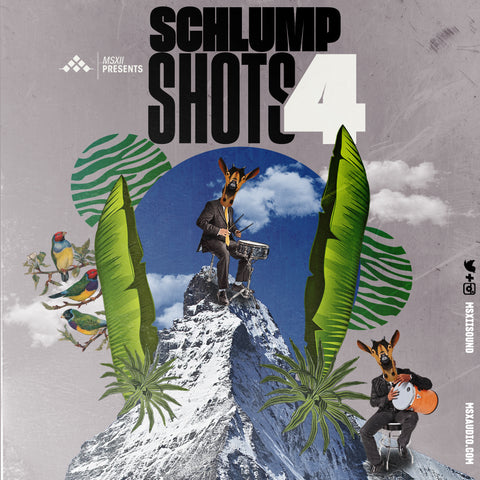 Schlump Shots 1