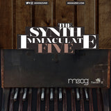 The Synth Immaculate 5