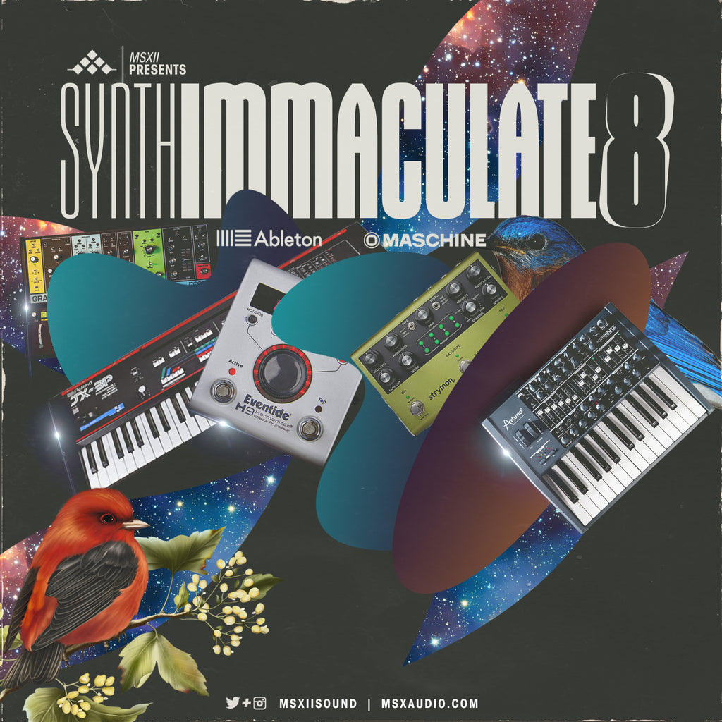 Synth Immaculate 8